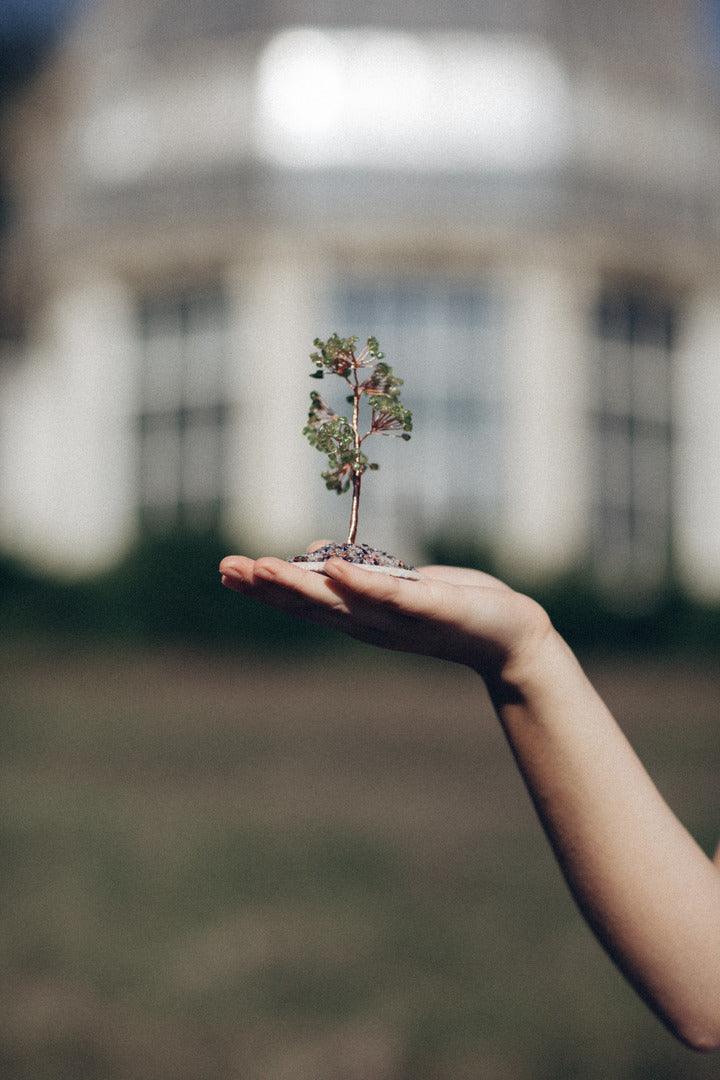 Albero Feng Shui "Positività e Scopo" in Quarzo Olivino con Base Rotonda