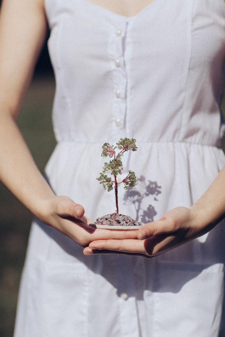 Albero Feng Shui "Positività e Scopo" in Quarzo Olivino con Base Rotonda